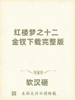 紅樓夢(mèng)之十二金釵下載完整版