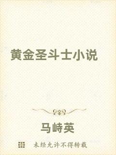 黃金圣斗士小說