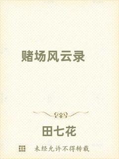 賭場風云錄