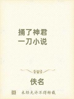 捅了神君一刀小說