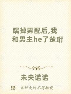 踹掉男配后,我和男主he了楚珩