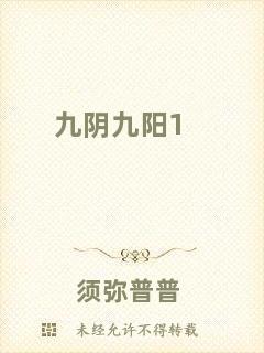 九陰九陽1