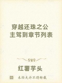 穿越還珠之公主駕到章節列表